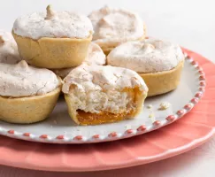 Biscuits Hertzog